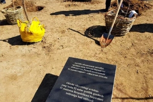 Ақтөбеде мерт болған 52 өзбекстандықтың рухына 52 жеміс ағашы отырғызылды